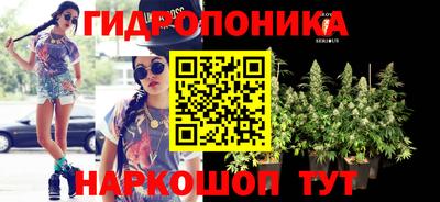 прущие грибы Абинск