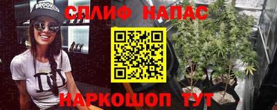 прущие грибы Абинск
