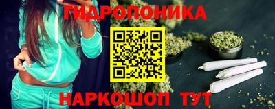 прущие грибы Абинск