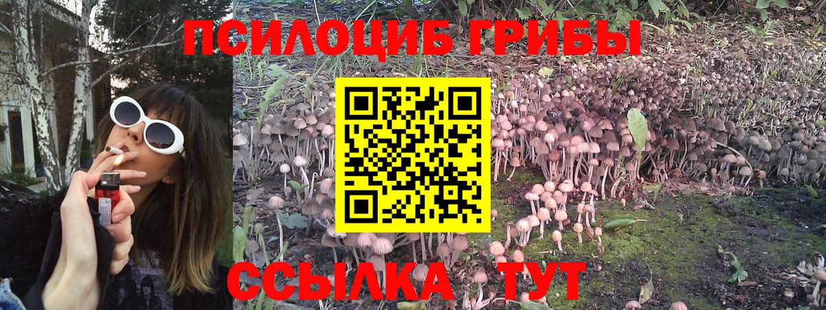 Псилоцибиновые грибы мицелий Абакан